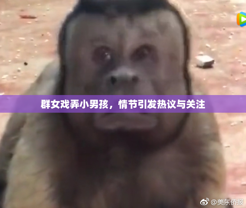 群女戏弄小男孩，情节引发热议与关注