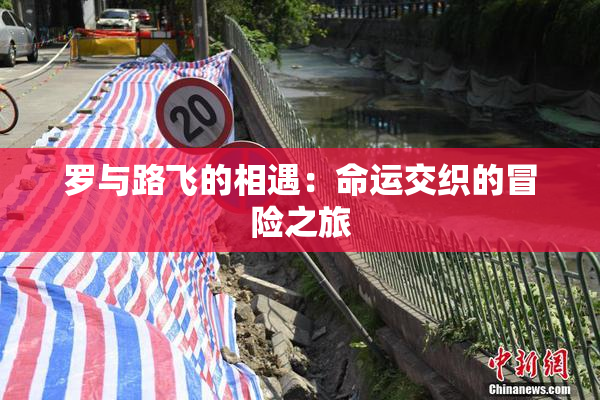罗与路飞的相遇：命运交织的冒险之旅