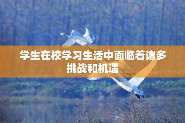 学生在校学习生活中面临着诸多挑战和机遇