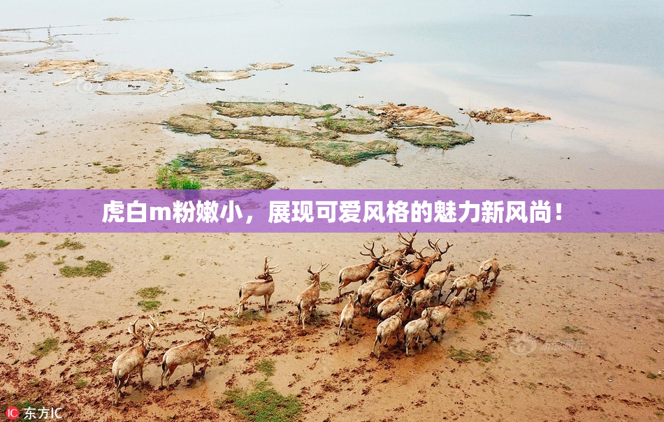 虎白m粉嫩小，展现可爱风格的魅力新风尚！
