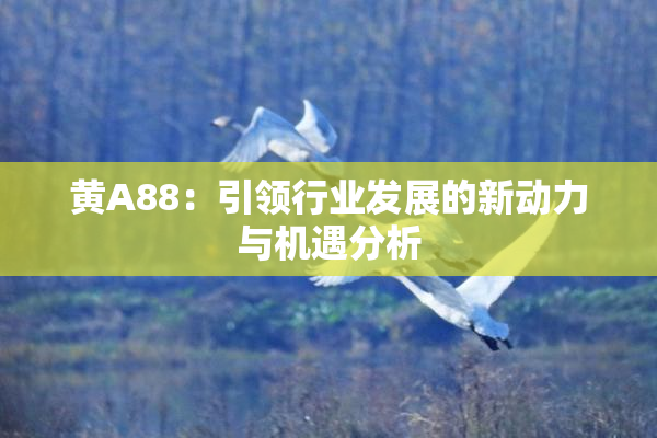黄A88：引领行业发展的新动力与机遇分析