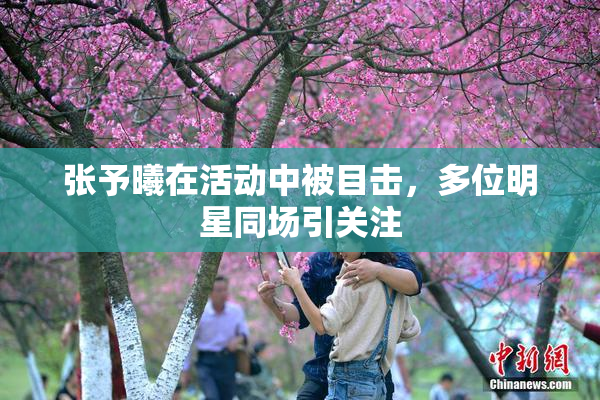 张予曦在活动中被目击，多位明星同场引关注