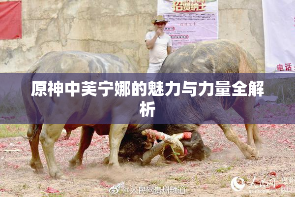 原神中芙宁娜的魅力与力量全解析