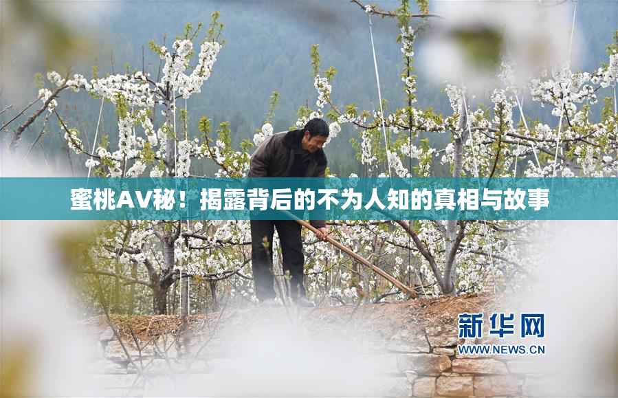 蜜桃AV秘！揭露背后的不为人知的真相与故事