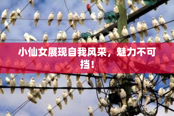 小仙女展现自我风采，魅力不可挡！
