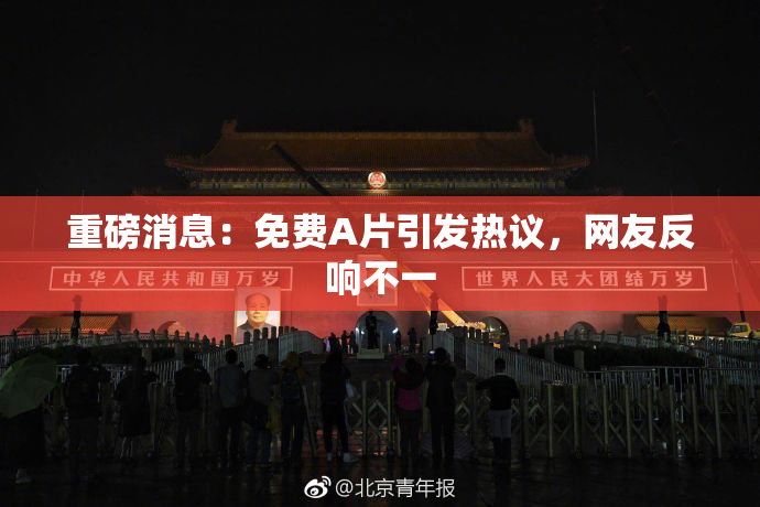 重磅消息：免费A片引发热议，网友反响不一
