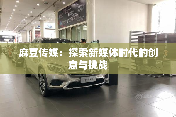 麻豆传媒：探索新媒体时代的创意与挑战