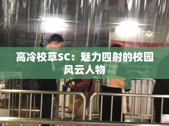高冷校草SC：魅力四射的校园风云人物