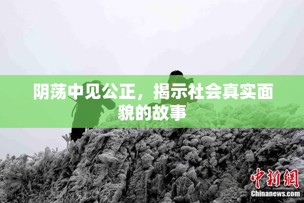 阴荡中见公正，揭示社会真实面貌的故事