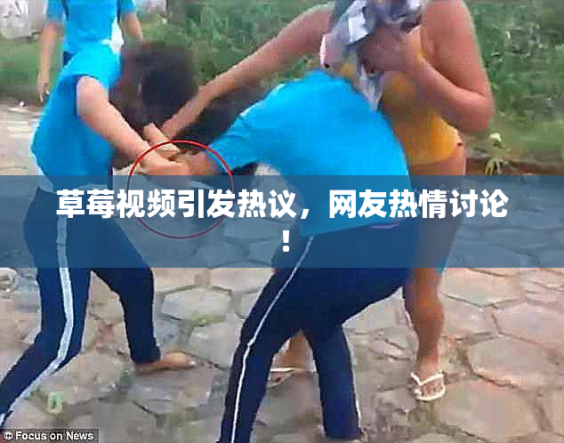 草莓视频引发热议，网友热情讨论！