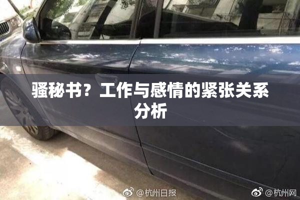 骚秘书？工作与感情的紧张关系分析
