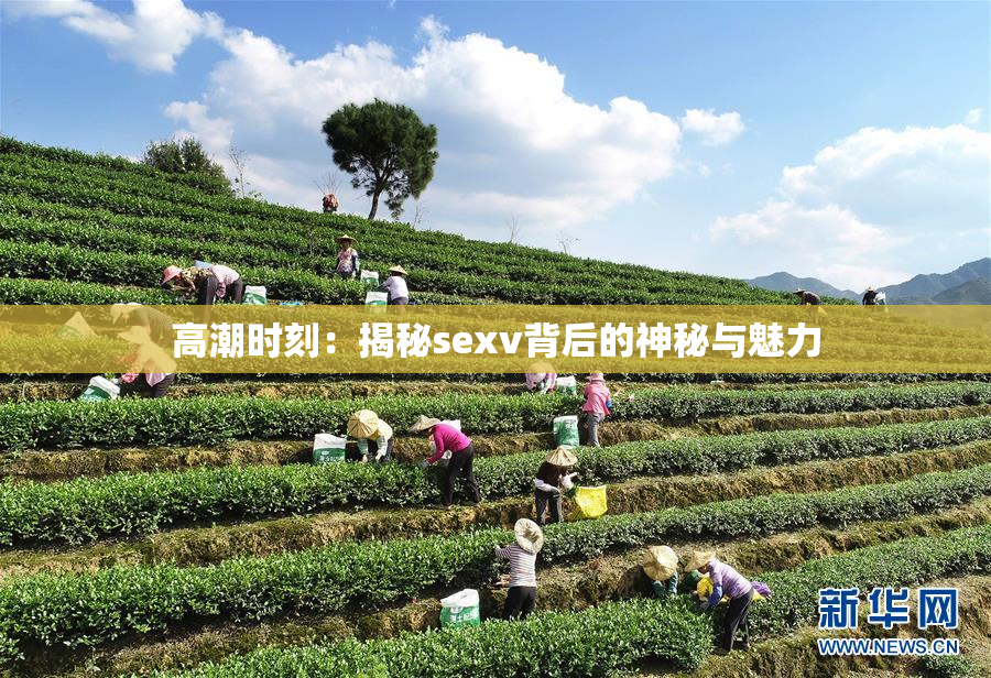 高潮时刻：揭秘sexv背后的神秘与魅力