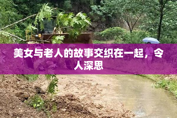 美女与老人的故事交织在一起，令人深思