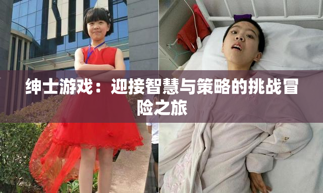 绅士游戏：迎接智慧与策略的挑战冒险之旅