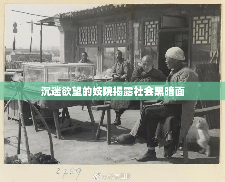 沉迷欲望的妓院揭露社会黑暗面