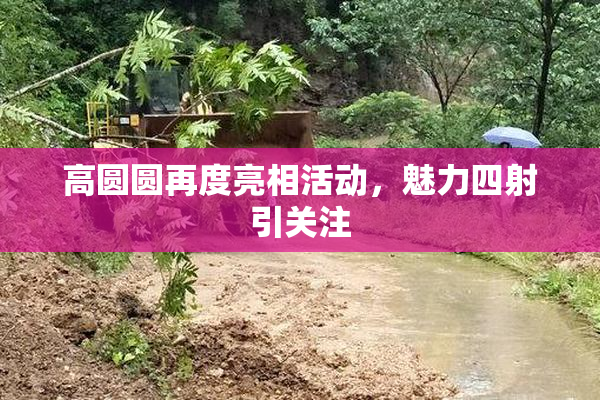 高圆圆再度亮相活动，魅力四射引关注