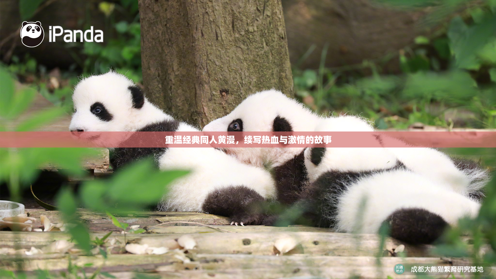 重温经典同人黄漫，续写热血与激情的故事