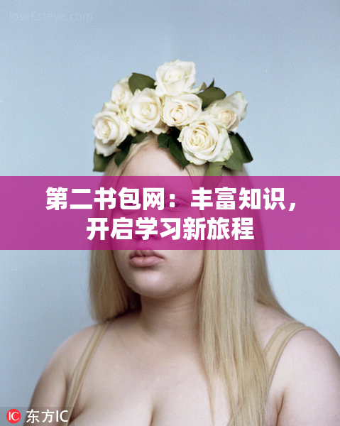 第二书包网：丰富知识，开启学习新旅程
