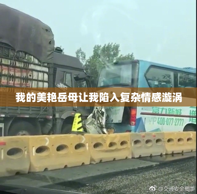 我的美艳岳母让我陷入复杂情感漩涡