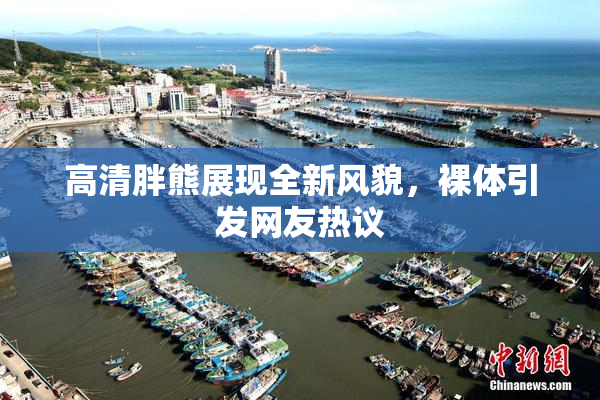 高清胖熊展现全新风貌，裸体引发网友热议
