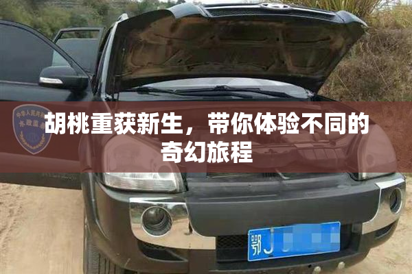 胡桃重获新生，带你体验不同的奇幻旅程