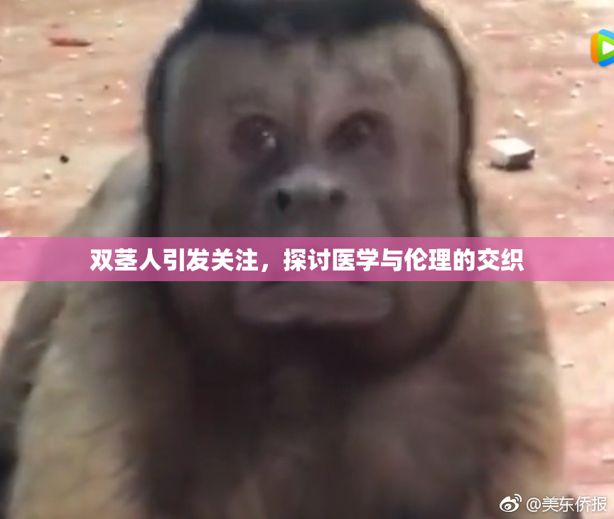 双茎人引发关注，探讨医学与伦理的交织