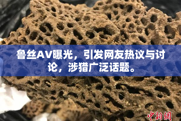 鲁丝AV曝光，引发网友热议与讨论，涉猎广泛话题。