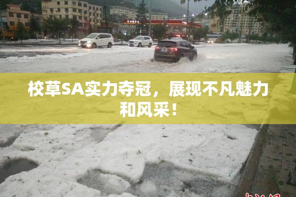校草SA实力夺冠，展现不凡魅力和风采！