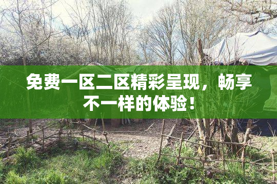 免费一区二区精彩呈现，畅享不一样的体验！