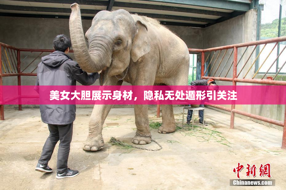 美女大胆展示身材，隐私无处遁形引关注