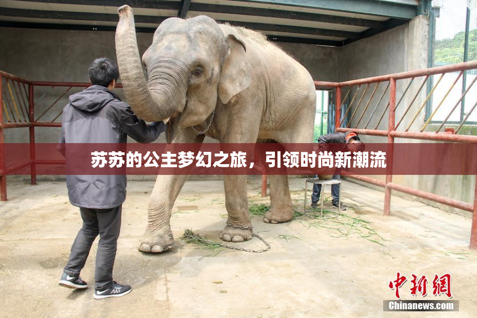 苏苏的公主梦幻之旅，引领时尚新潮流
