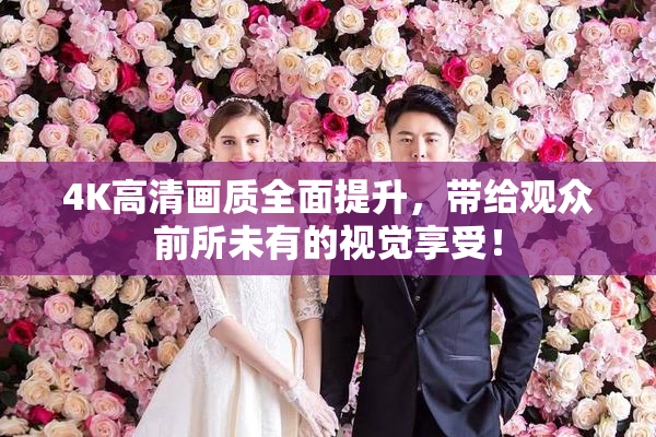 4K高清画质全面提升，带给观众前所未有的视觉享受！