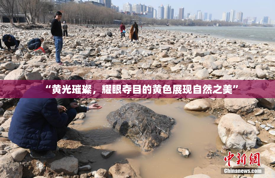 “黄光璀璨，耀眼夺目的黄色展现自然之美”