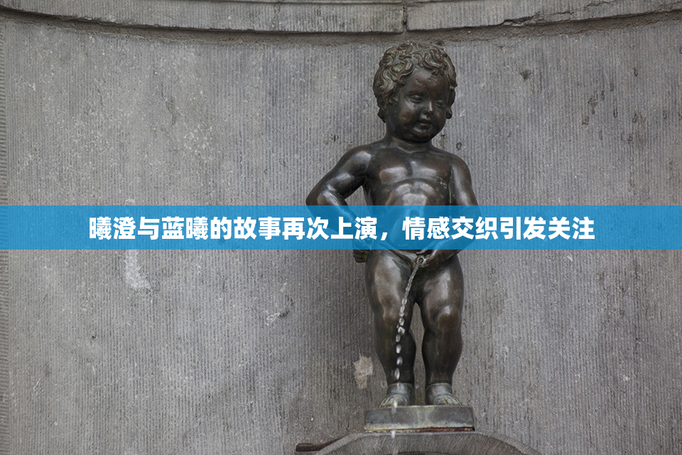 曦澄与蓝曦的故事再次上演，情感交织引发关注