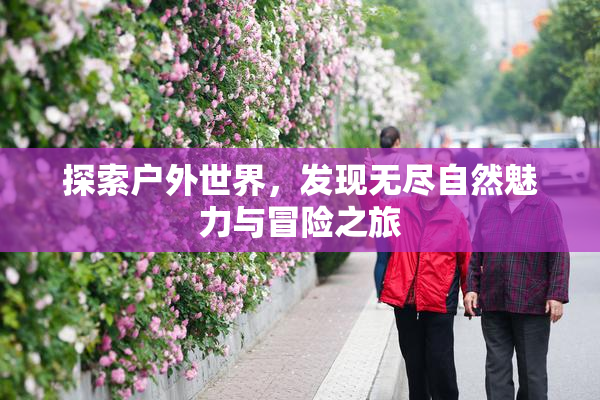 探索户外世界，发现无尽自然魅力与冒险之旅