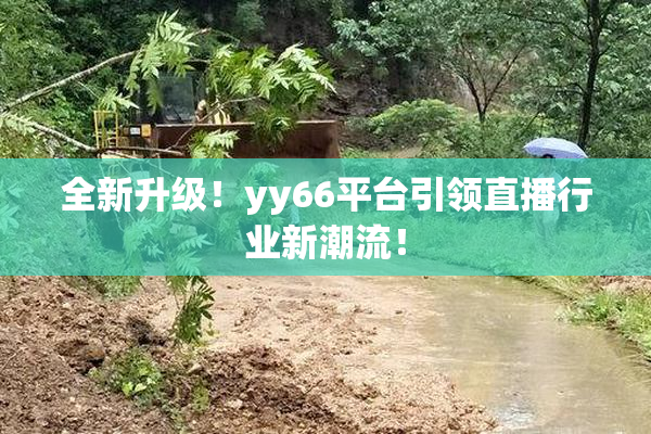 全新升级！yy66平台引领直播行业新潮流！
