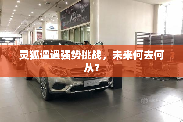 灵狐遭遇强势挑战，未来何去何从？