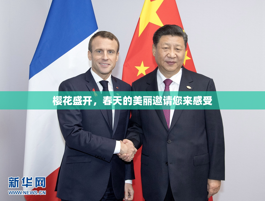 樱花盛开，春天的美丽邀请您来感受