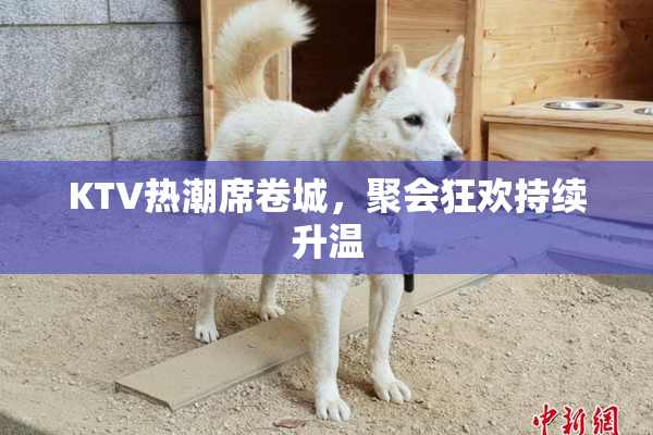 KTV热潮席卷城，聚会狂欢持续升温