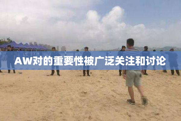 AW对的重要性被广泛关注和讨论