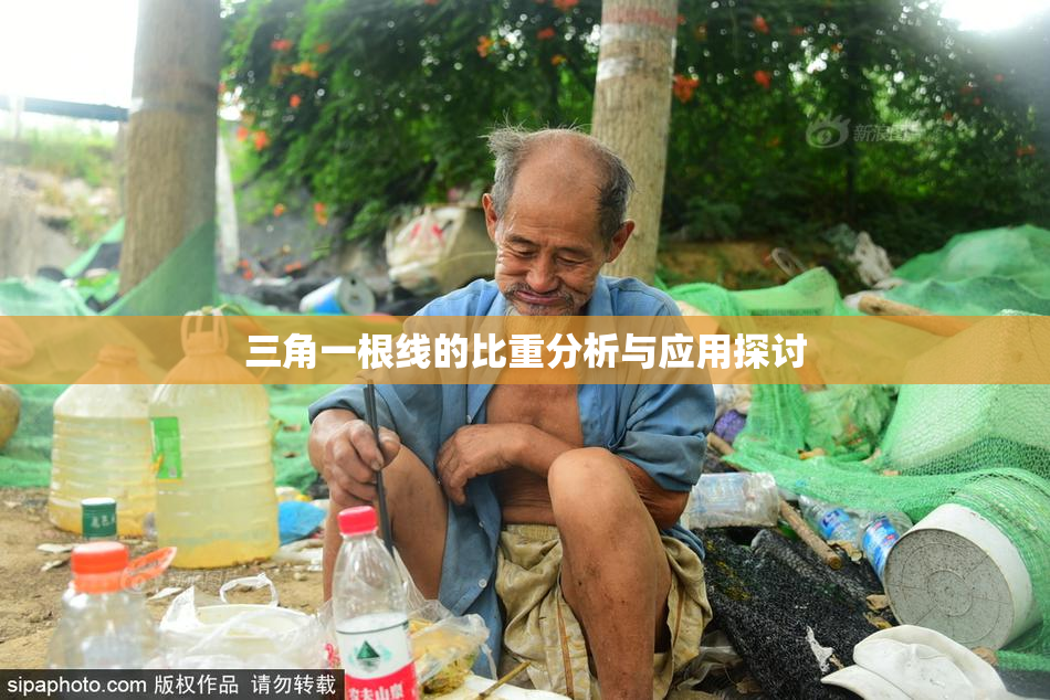 三角一根线的比重分析与应用探讨