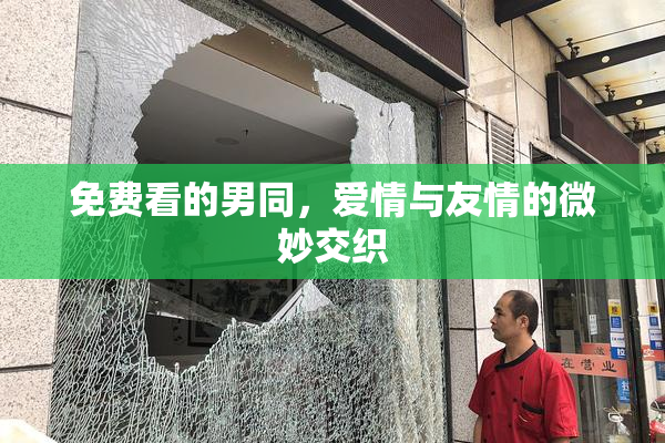 免费看的男同，爱情与友情的微妙交织