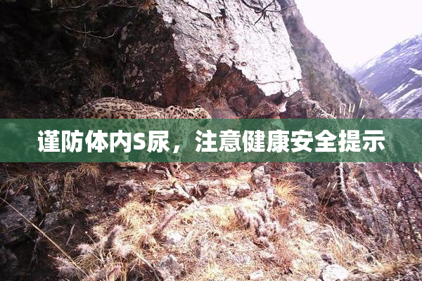 谨防体内S尿，注意健康安全提示