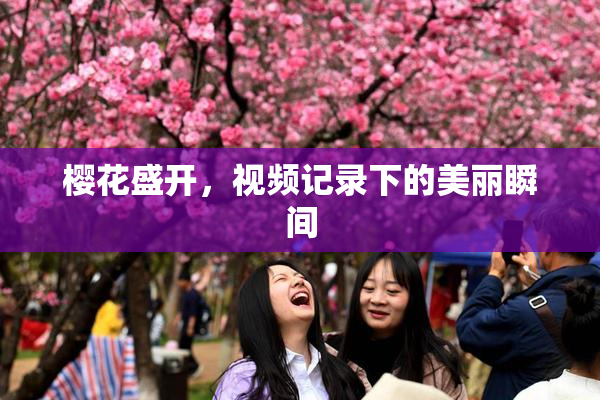 樱花盛开，视频记录下的美丽瞬间