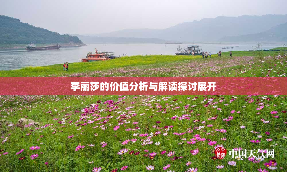 李丽莎的价值分析与解读探讨展开