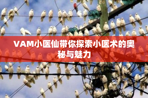 VAM小医仙带你探索小医术的奥秘与魅力