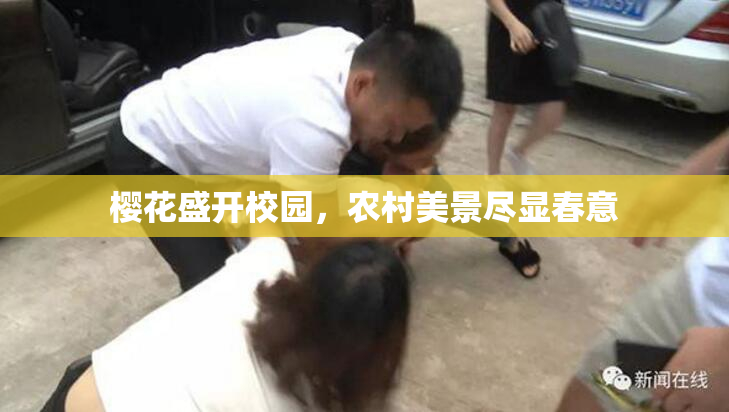 樱花盛开校园，农村美景尽显春意