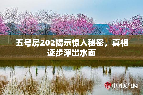 五号房202揭示惊人秘密，真相逐步浮出水面