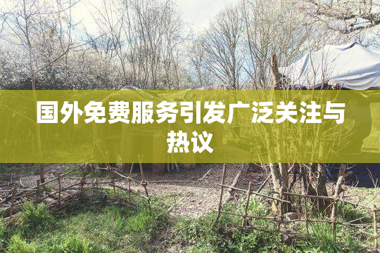 国外免费服务引发广泛关注与热议