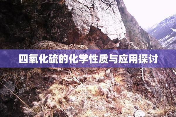 四氧化硫的化学性质与应用探讨